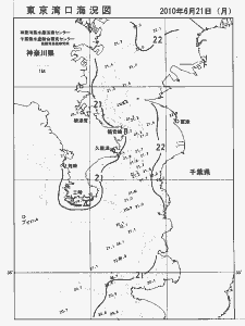 東京湾口海況図(2010/06/21)