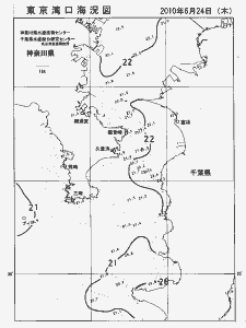 東京湾口海況図(2010/06/24)