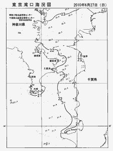 東京湾口海況図(2010/06/27)