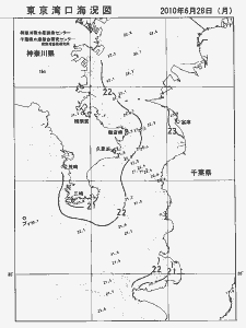 東京湾口海況図(2010/06/28)