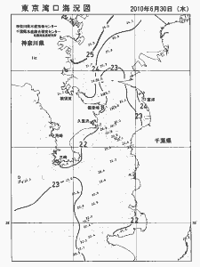 東京湾口海況図(2010/06/30)