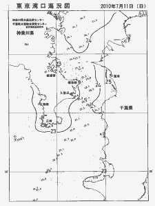東京湾口海況図(2010/07/11)