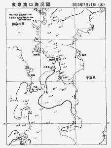 東京湾口海況図(2010/07/21)