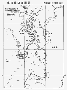 東京湾口海況図(2010/07/28)