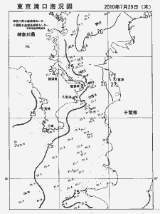東京湾口海況図(2010/07/29)