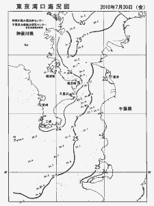 東京湾口海況図(2010/07/30)