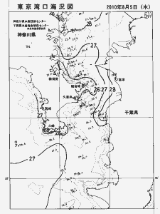 東京湾口海況図(2010/08/05)