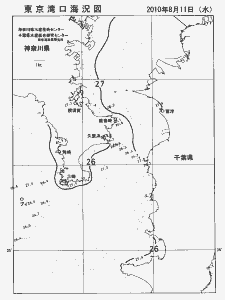 東京湾口海況図(2010/08/11)
