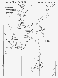 東京湾口海況図(2010/08/12)