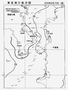 東京湾口海況図(2010/08/13)