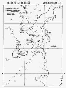 東京湾口海況図(2010/08/16)
