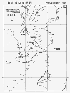 東京湾口海況図(2010/08/19)