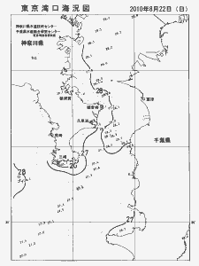 東京湾口海況図(2010/08/22)