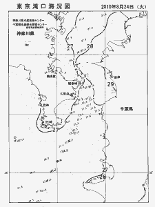 東京湾口海況図(2010/08/24)