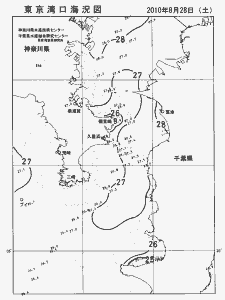 東京湾口海況図(2010/08/28)