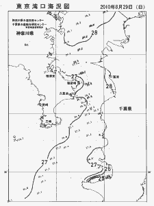 東京湾口海況図(2010/08/29)