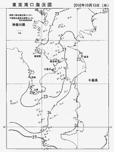 東京湾口海況図(2010/10/13)