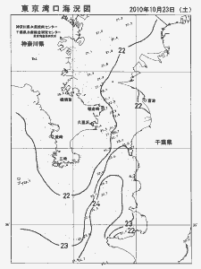東京湾口海況図(2010/10/23)