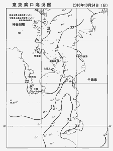 東京湾口海況図(2010/10/24)