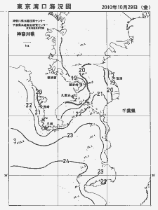 東京湾口海況図(2010/10/29)