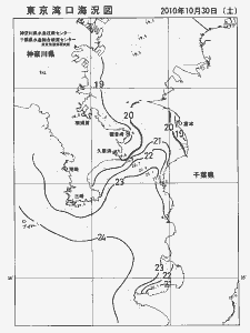 東京湾口海況図(2010/10/30)