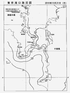 東京湾口海況図(2010/10/31)