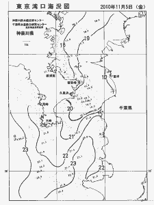 東京湾口海況図(2010/11/05)