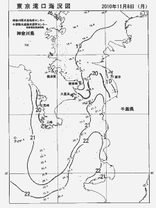 東京湾口海況図(2010/11/08)