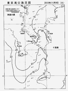 東京湾口海況図(2010/11/09)
