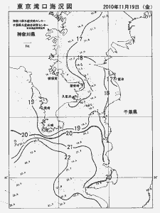 東京湾口海況図(2010/11/19)