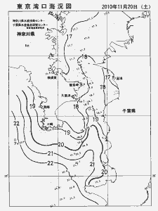 東京湾口海況図(2010/11/20)
