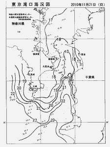 東京湾口海況図(2010/11/21)