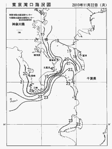 東京湾口海況図(2010/11/22)
