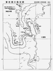 東京湾口海況図(2010/11/24)