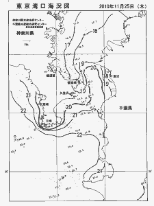 東京湾口海況図(2010/11/25)