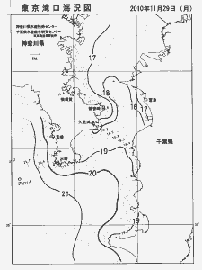 東京湾口海況図(2010/11/29)