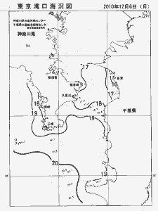 東京湾口海況図(2010/12/06)