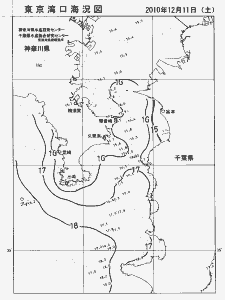東京湾口海況図(2010/12/11)