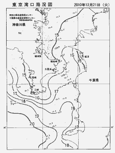 東京湾口海況図(2010/12/21)