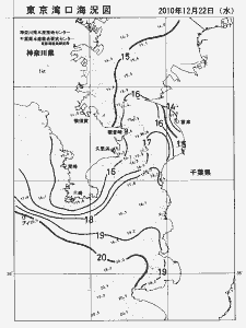 東京湾口海況図(2010/12/22)