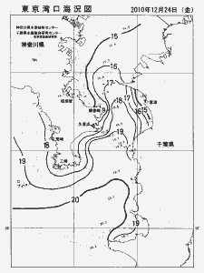 東京湾口海況図(2010/12/24)