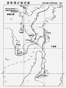 東京湾口海況図(2010/12/29)