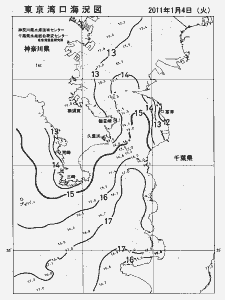 東京湾口海況図(2011/01/04)