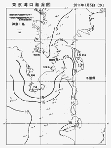 東京湾口海況図(2011/01/05)