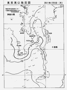 東京湾口海況図(2011/01/06)