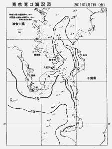 東京湾口海況図(2011/01/07)