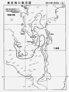 東京湾口海況図(2011/01/08)