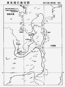 東京湾口海況図(2011/01/09)