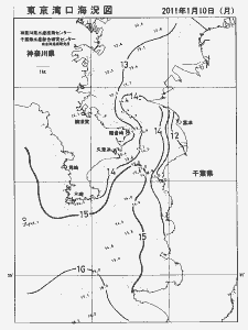 東京湾口海況図(2011/01/10)