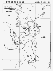 東京湾口海況図(2011/01/11)